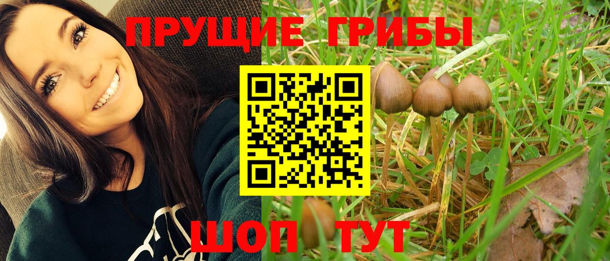 Миасс  Галлюциногенные грибы Cubensis  Вход с VPN  Галлюциногенные грибы MAGIC MUSHROOMS 